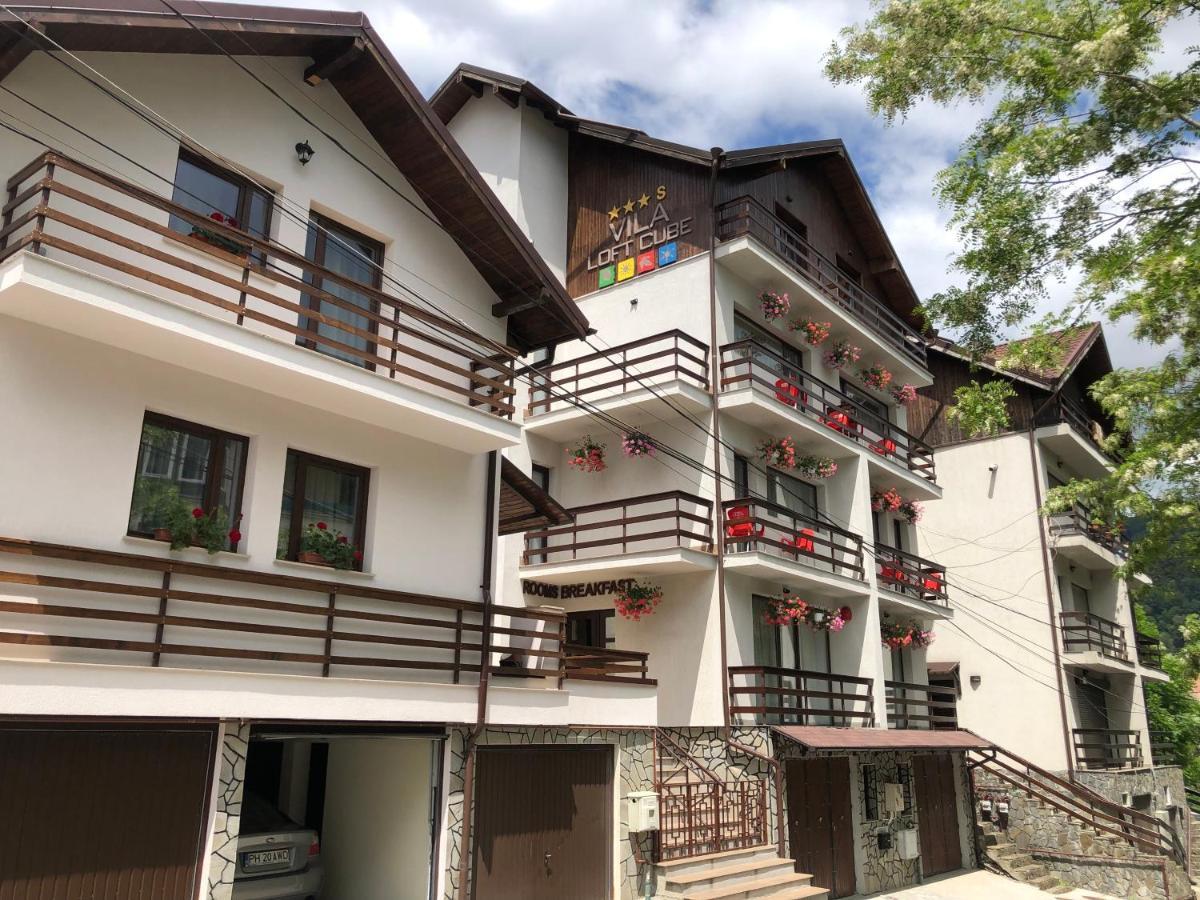 Vila Loft Cube Sinaia Eksteriør bilde